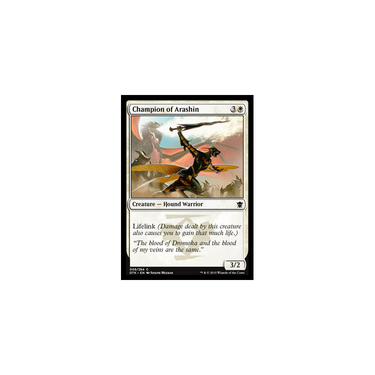 Champion of Arashin (Foil) - Big Orbit Cards Champion of Arashin (Foil) - Big Orbit Cards