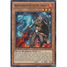 YuGiOh Lord of the Tachyon Galaxy Common Fire King Avatar Garunix  LTGY-EN034 