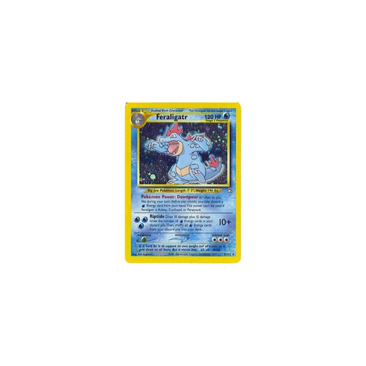 Pokemon Feraligatr 5 popular